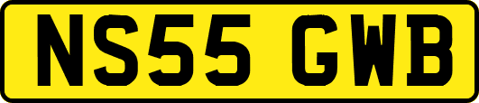 NS55GWB