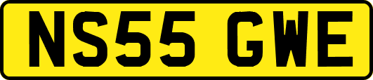 NS55GWE