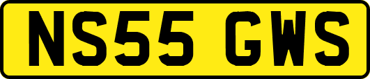 NS55GWS