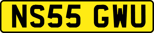 NS55GWU