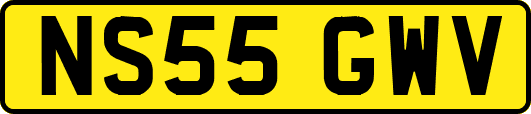 NS55GWV