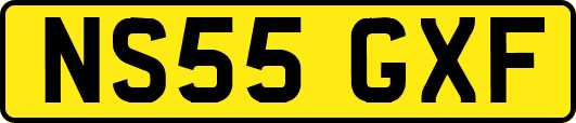 NS55GXF