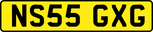 NS55GXG