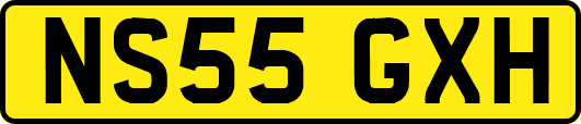 NS55GXH