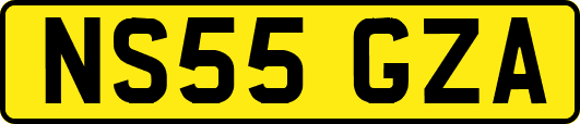 NS55GZA