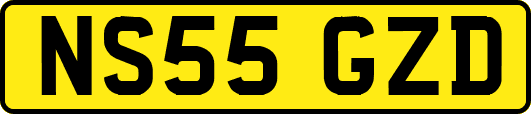 NS55GZD