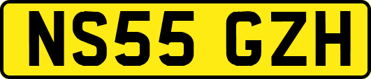 NS55GZH