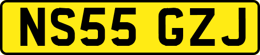 NS55GZJ