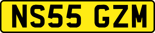 NS55GZM