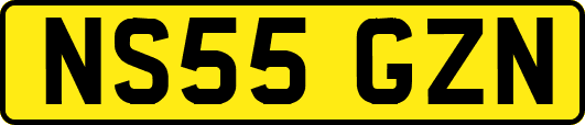 NS55GZN