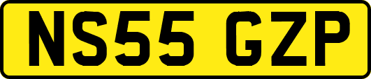 NS55GZP