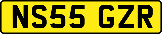 NS55GZR