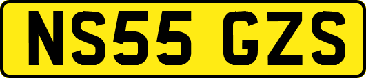 NS55GZS