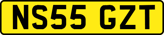 NS55GZT