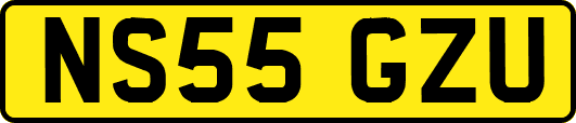 NS55GZU