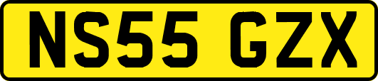 NS55GZX