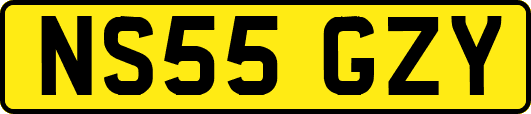 NS55GZY