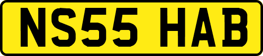 NS55HAB