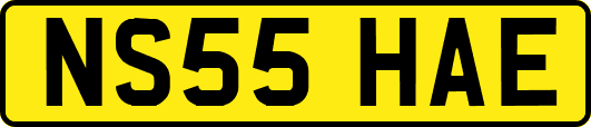 NS55HAE