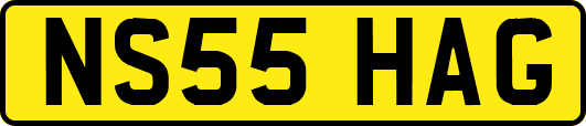NS55HAG