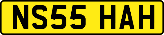 NS55HAH