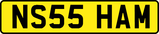 NS55HAM