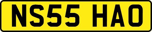 NS55HAO