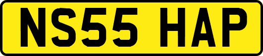 NS55HAP