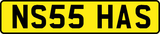 NS55HAS