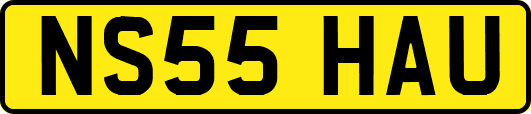 NS55HAU
