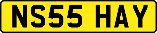 NS55HAY