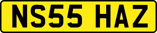NS55HAZ