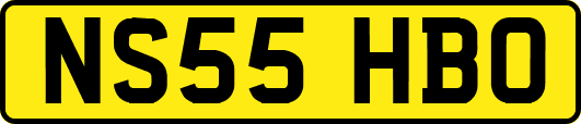 NS55HBO