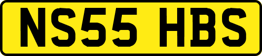 NS55HBS