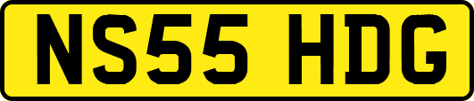 NS55HDG
