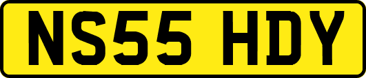 NS55HDY