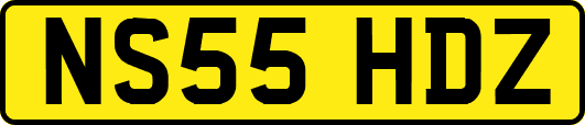 NS55HDZ
