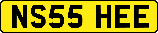 NS55HEE