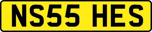 NS55HES