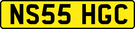 NS55HGC