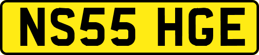 NS55HGE