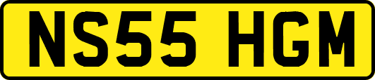 NS55HGM
