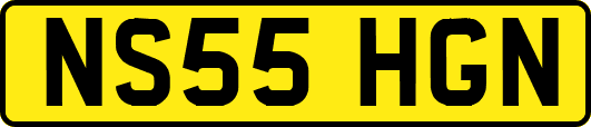 NS55HGN