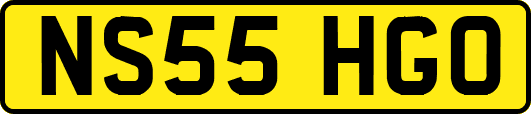 NS55HGO