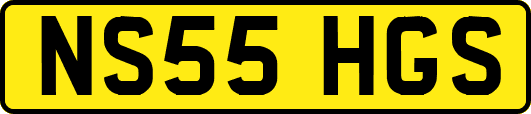 NS55HGS