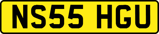 NS55HGU