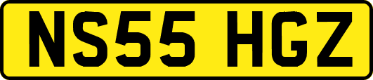 NS55HGZ