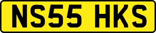 NS55HKS