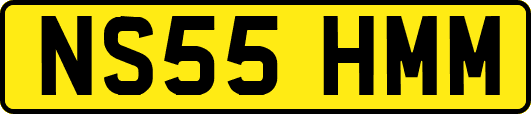 NS55HMM