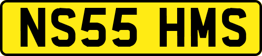 NS55HMS